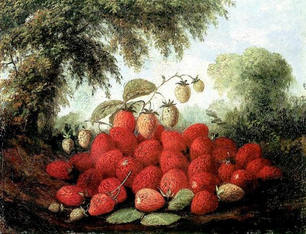 Paul Lacroix Strawberries Spilling From A Basket And Growing On A Bush