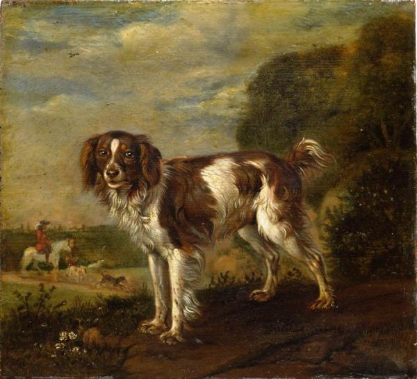 A Patrijshond by Paulus Potter Oil Painting Reproductions