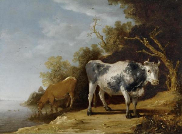 Cattle Standing On A Riverbank by Paulus Potter Oil Painting Reproductions