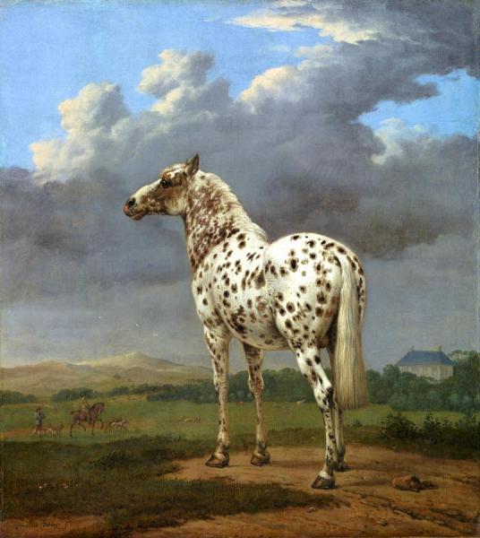 The Piebald Horse by Paulus Potter Oil Painting Reproductions