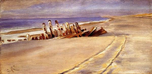 Shipwreck At Skagen North Beach by Peder Severin Kroyer Oil Painting Reproductions