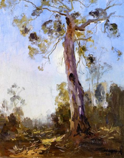 Before The Light by Penleigh Boyd