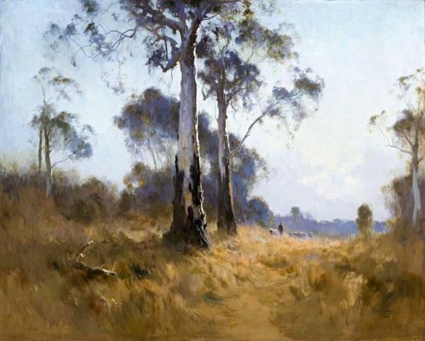 Ghost Gum At Kangaroo Flat by Penleigh Boyd