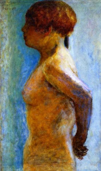 Female Torso by Pierre Bonnard Oil Painting Reproductions