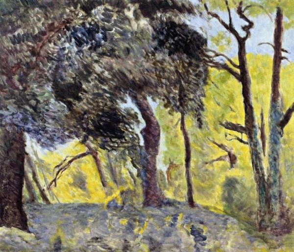 In The Woods (study) by Pierre Bonnard