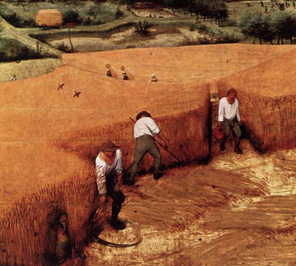 The Corn Harvest (detail) by Pieter Bruegel The Elder