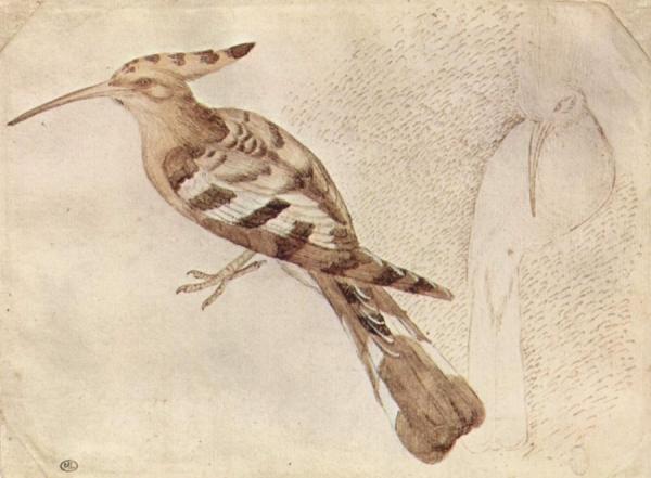 Bird by Pisanello