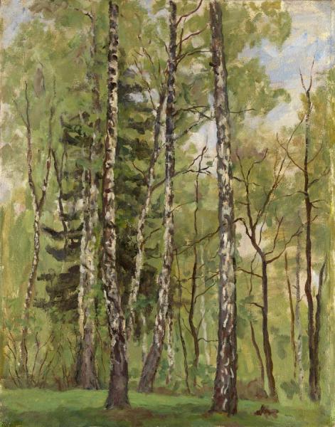 Birch Trees In Spring by Pyotr Konchalovsky