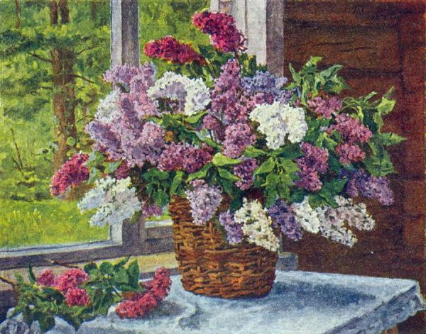 Lilacs By The Window by Pyotr Konchalovsky