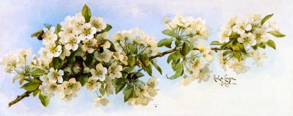 Apple Blossoms With Hummingbird And Bumblebees by Raoul De Longpre