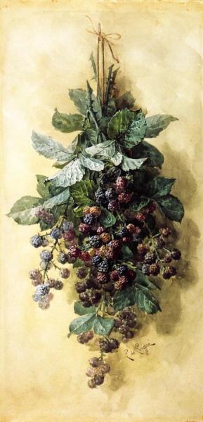 Blackberries by Raoul De Longpre