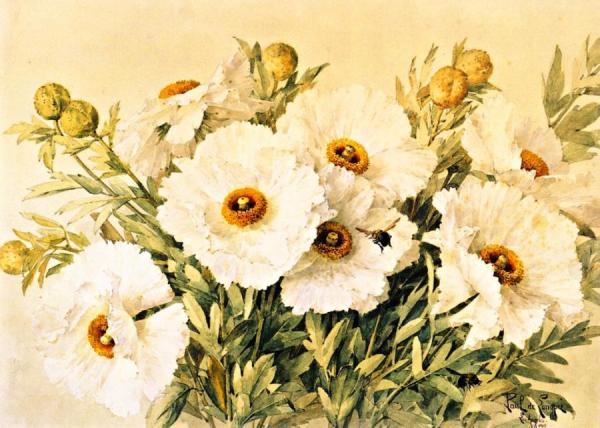 Matilija Poppies by Raoul De Longpre