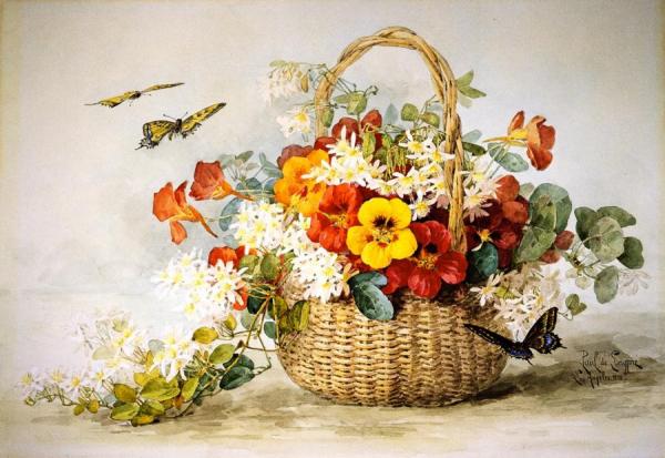 Nasturtiums, Jasmine And Butterflies by Raoul De Longpre