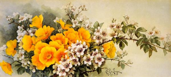 Poppies And Wild Blackberries by Raoul De Longpre