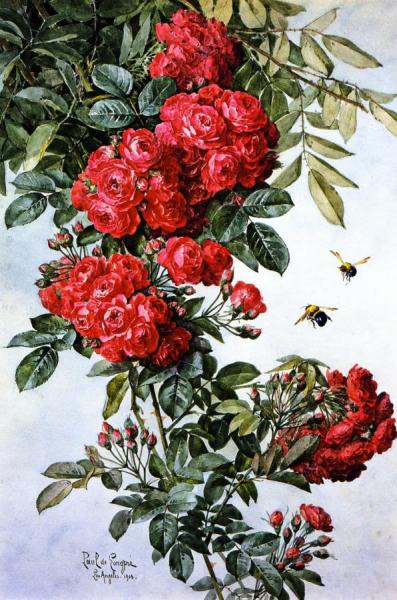 Rambling Roses by Raoul De Longpre Oil Painting Reproductions