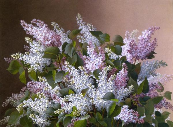 Spray Of Lilacs by Raoul De Longpre