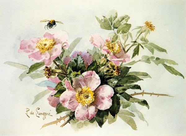 Wild Roses With Bee by Raoul De Longpre Oil Painting Reproductions