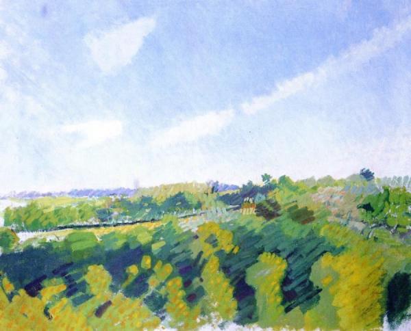 The Norman Coast by Raoul Dufy