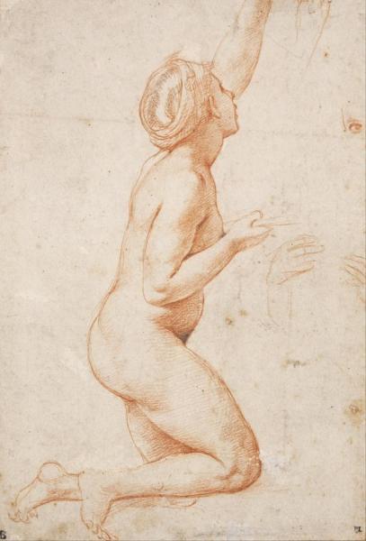 Kneeling Nude Woman by Raphael