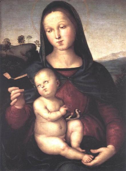 Solly Madonna by Raphael Oil Painting Reproductions