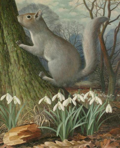 A Squirrel In A Wooded Landscape, 1963 by Raymond Booth