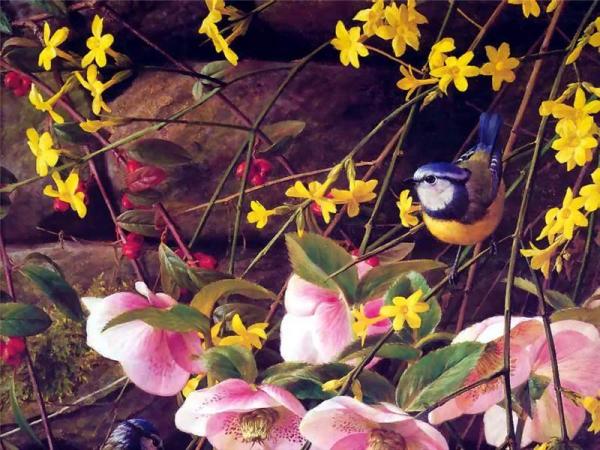 Bluetit by Raymond Booth