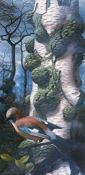 Jay In A Winter Woodland by Raymond Booth