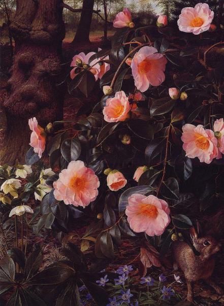 Untitled by Raymond Booth