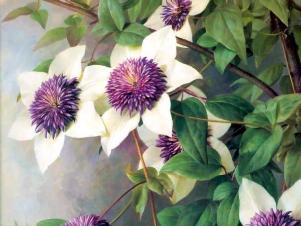 Untitled by Raymond Booth