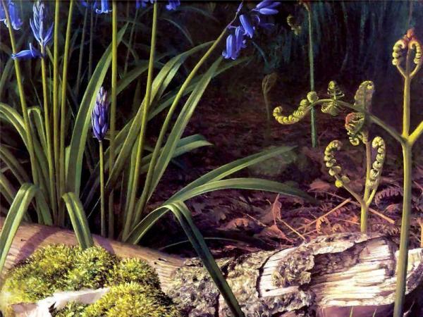 Untitled by Raymond Booth