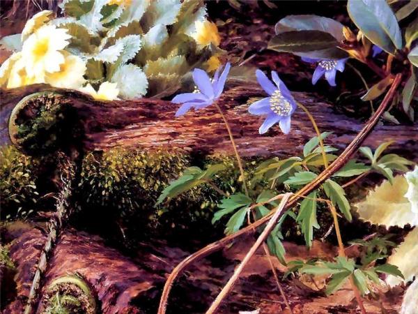 Untitled by Raymond Booth