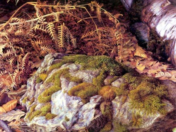 Untitled by Raymond Booth