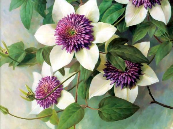 Untitled by Raymond Booth