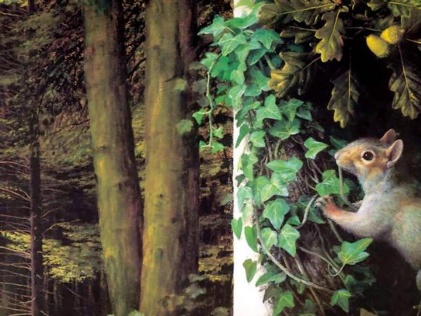 Untitled by Raymond Booth