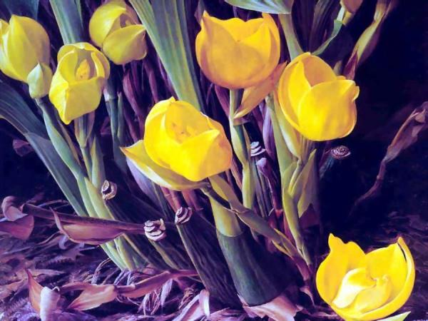 Untitled by Raymond Booth