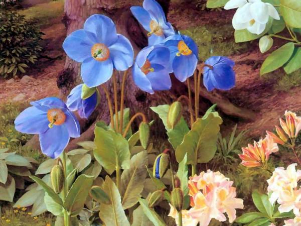 Untitled by Raymond Booth