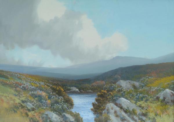 West Haytor Rocks And Tor Marsh by Reginald Daniel Sherrin