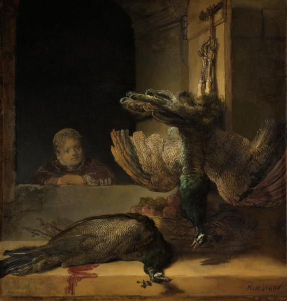 Still Life With Peacocks by Rembrandt Van Rijn