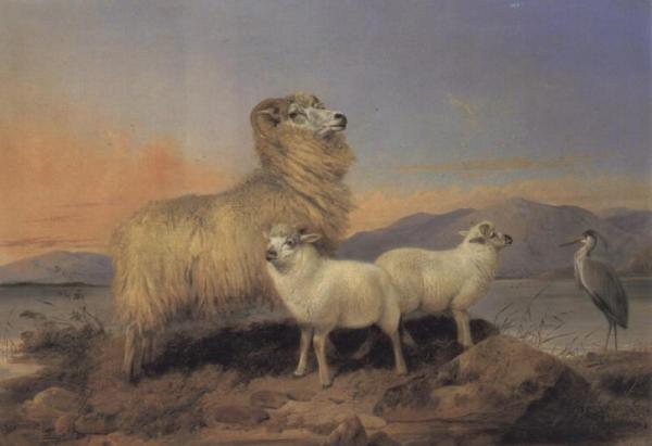 A Ewe With Lambs And A Heron Beside A Loch by Richard Ansdell