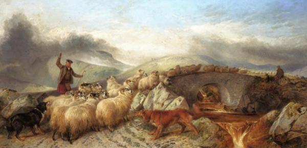 Collecting Sheep For Clipping In The Highlands by Richard Ansdell