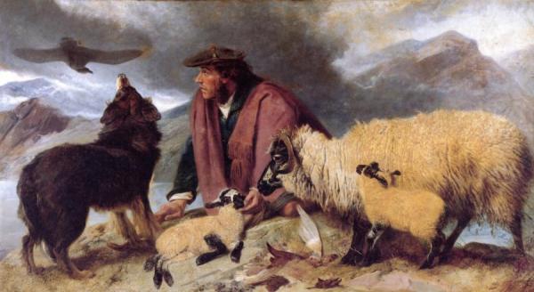 Highland Spate - Sheep Being Rescued From The Rocks by Richard Ansdell