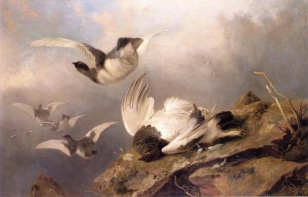 Ptarmigan by Richard Ansdell