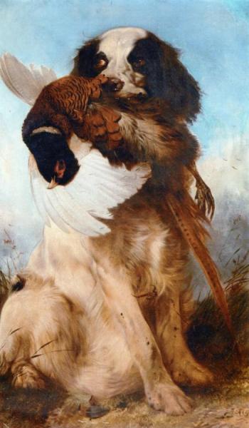 Retrieved by Richard Ansdell