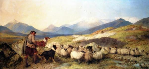 Sheep Gathering In Glen Spean by Richard Ansdell