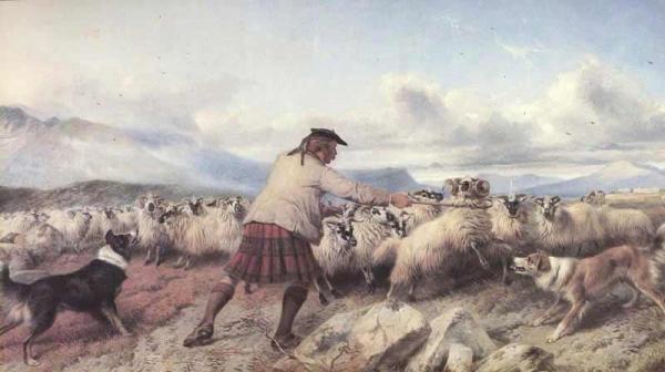 Turning The Drove by Richard Ansdell