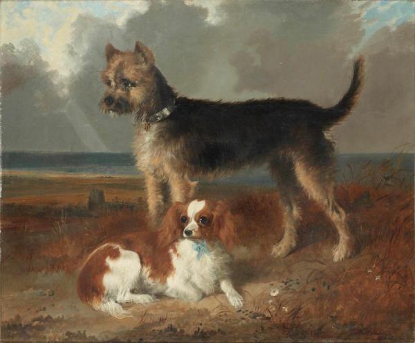 Two Small Dogs by Richard Ansdell