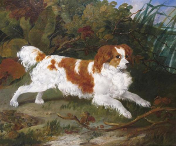 Untitled by Richard Ansdell