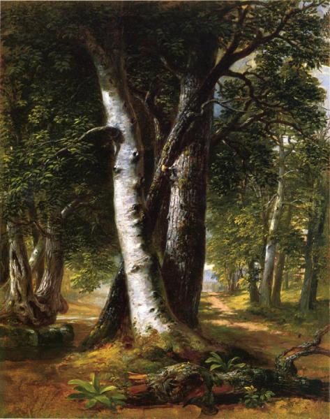 Woodland Path by Richard Lorenz