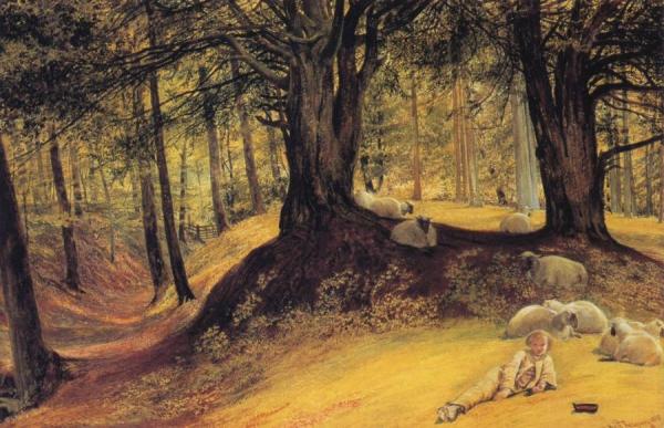 Parkhurst Woods, Abinger, Surrey by Richard Redgrave