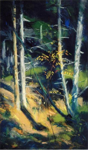 Maine Landscape by Robert Henri